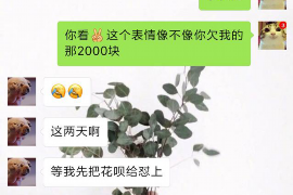 成都工资清欠服务